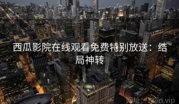 西瓜影院在线观看免费特别放送：结局神转