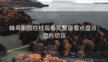 蜂鸟影院在线观看完整版看点盘点：官方访谈