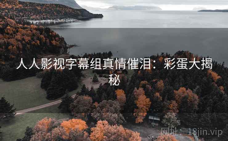 人人影视字幕组真情催泪：彩蛋大揭秘